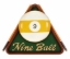 Image de Nine Ball